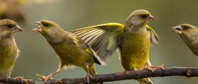 Insight Q2 2023 - A quartet of concerns